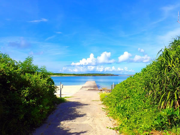 パナリ島上陸
