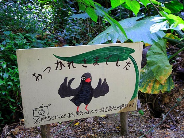 体験終了