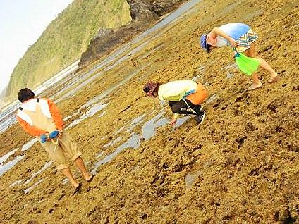 【やんばる国立公園】海の自然観察・潮干狩り体験