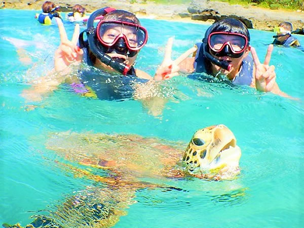 海がめシュノーケル