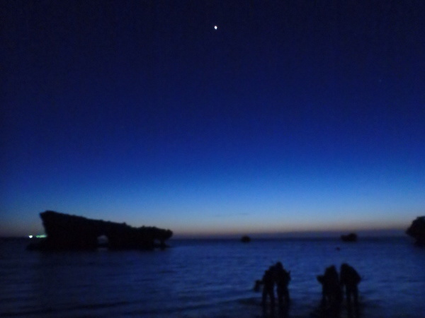 夜光虫&星空シュノーケリング