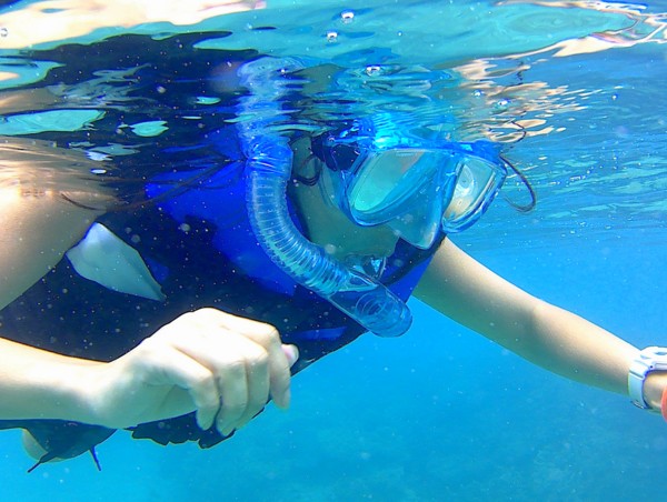 のんびりシュノーケリングを楽しもう♪|美ら海水族館にも近く観光にも便利!屋部の浜ビーチ