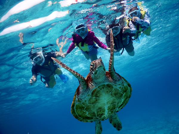 ウミガメポイントへ