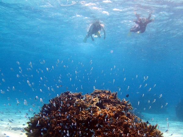 【宮古島・伊良部島・下地島周辺】船でしか辿り着けないベストポイントで1dayボートシュノーケリング(送迎あり)