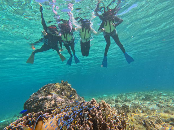 【美ら海水族館・備瀬フクギ並木近く】SUPで行くシュノーケリング♪