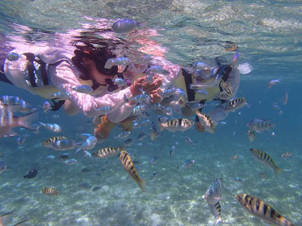 【美ら海水族館・備瀬フクギ並木近く】SUPで行くシュノーケリング♪