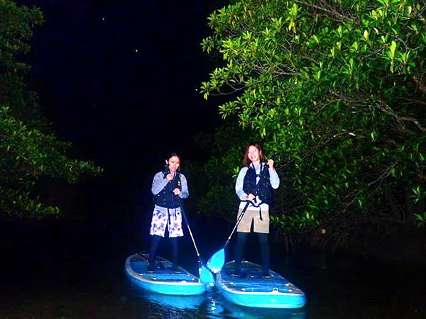 ※地域共通クーポン対象【西表島】満天の星を見よう♪夜のマングローブツアー♪(SUPorカヌー)