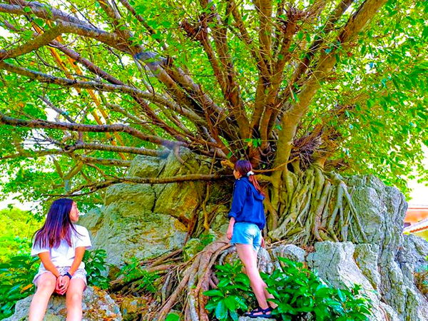 【石垣島】プロカメラマンが撮る♪観光同行インスタ映えフォトツアー♪
