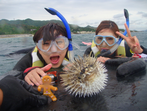 瀬底島ボートシュノーケル熱帯魚ウォッチング【冬季限定】