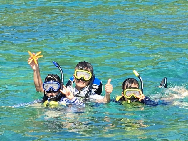 【古宇利島】マリンチューブに乗って古宇利島1周シュノーケリングツアー♪カクレクマノミや海ガメを探そう!