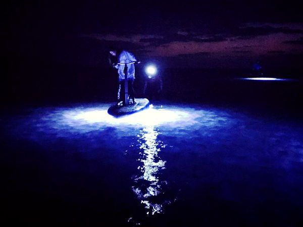 LEDで幻想的