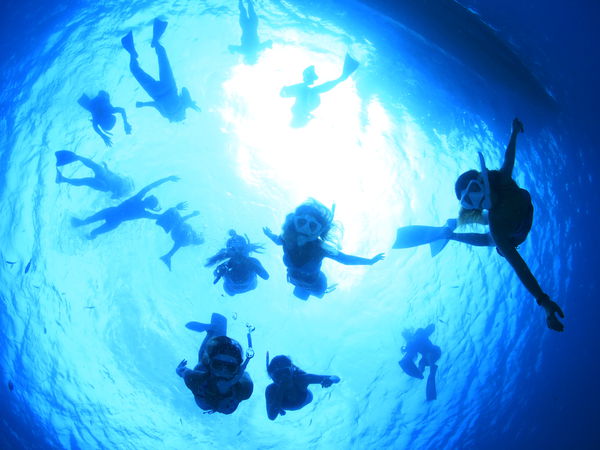 カビスタ -Kabira Snorkeling Studio-