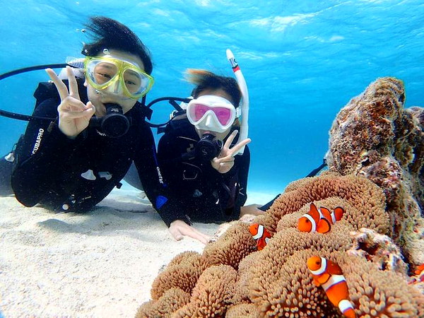※地域共通クーポン対象【石垣島】体験ダイビング+幻の島上陸+竹富島観光(水牛車観光&レンタサイクル&ランチ付)