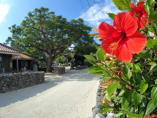 竹富島