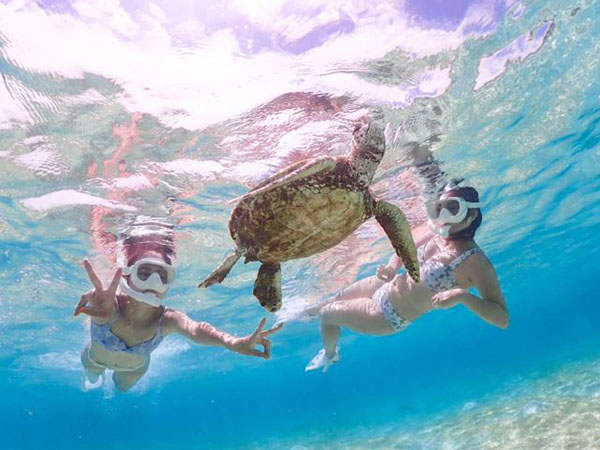 1歳~OK/【宮古島】《宮古島王道プラン》SUP&ウミガメシュノーケル★追加料金ナシ|全額返金保証|レンタル・写真無料|手ぶら参加OK