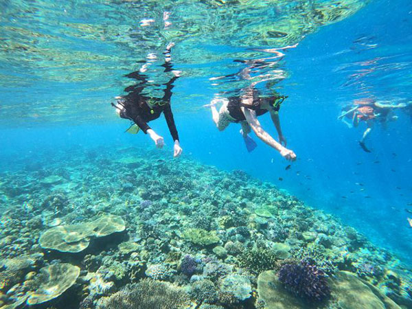 【本部町塩川ビーチ】クリアサップ&シュノーケル♪GoPro無料レンタル♪美ら海水族館まで15分