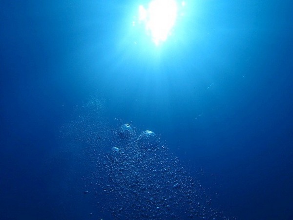 古宇利島 ボート体験ダイビング