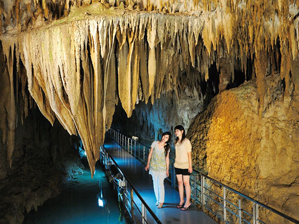 12月出発~<沖縄南部>人気スポットを効率よく巡る!/【那覇発観光バスツアー(Dコース)】おきなわワールドと首里城公園・瀬長島ウミカジテラス