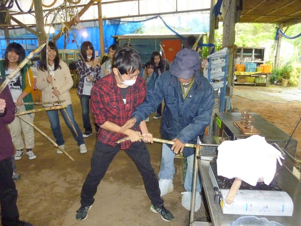 沖縄サトウキビ刈り&黒糖作り体験♪宜野座村【夢の扉楽園王国】