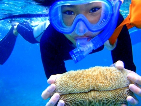 【石垣発/竹富発】幻の島上陸&熱帯魚シュノーケリングツアー(送迎あり)