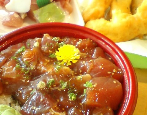 新鮮魚介類が揃う泊漁港で美味いマグロを食す!