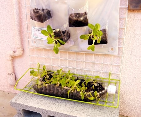 ガーデニング？ メイクマン具志川店