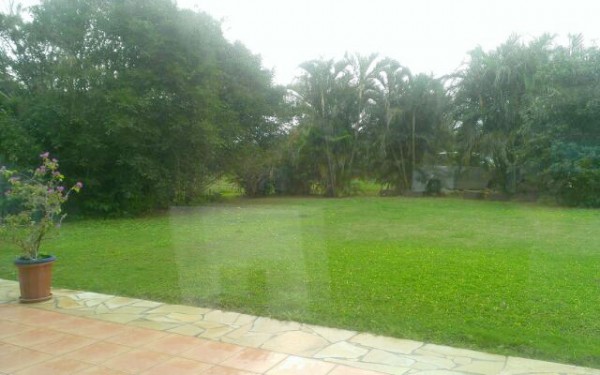 本格讃岐うどんのさぬき茶屋（宮古島）