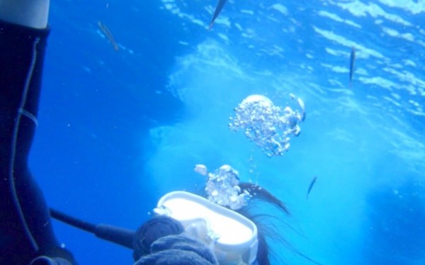 沖縄は、凄く心を綺麗にしてくれる｜沖縄旅の思い出ﾌｫﾄｺﾝﾃｽﾄ