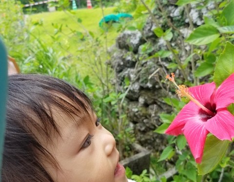 沖縄気に入りすぎてまた行こうと早速旅費を貯金中です☆｜沖縄旅の思い出ﾌｫﾄｺﾝﾃｽﾄ