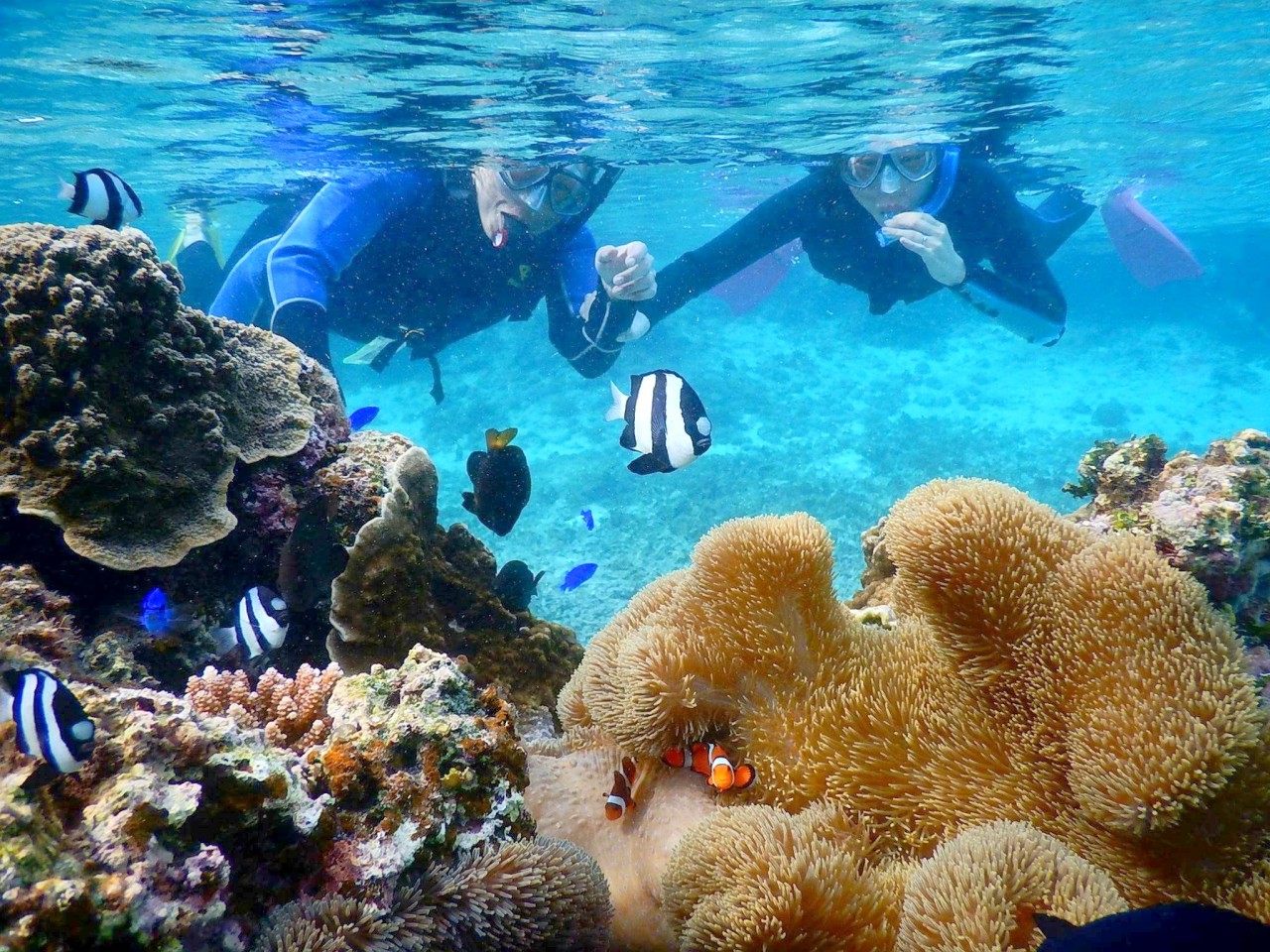 キレイな海 海亀や魚達を観察できとても楽しかったです 沖縄旅の思い出ﾌｫﾄｺﾝﾃｽﾄ がオススメ 沖縄口コミ お便り