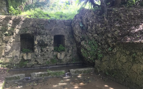 船越大川とサボテン（南城市）