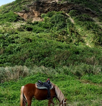 森に消えた集落探検(久米島)