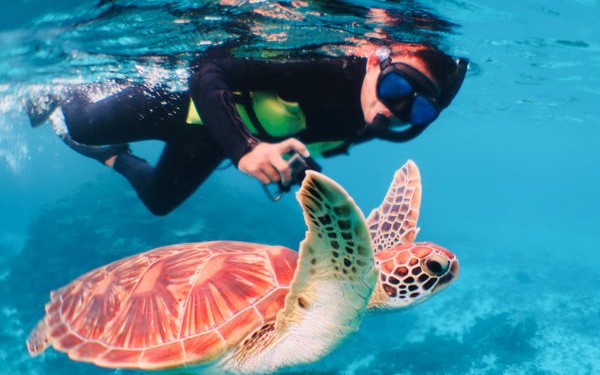 この宮古島ウミガメツアーを選ぶ5つの理由！だって『幻の島（ユニの浜）』にも上陸するからね！