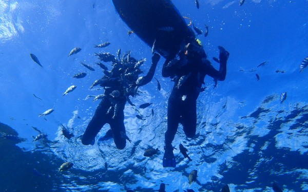 青の洞窟でシュノーケリング！オフシーズンなのでほぼ貸切状態｜沖縄旅の思い出ﾌｫﾄｺﾝﾃｽﾄ