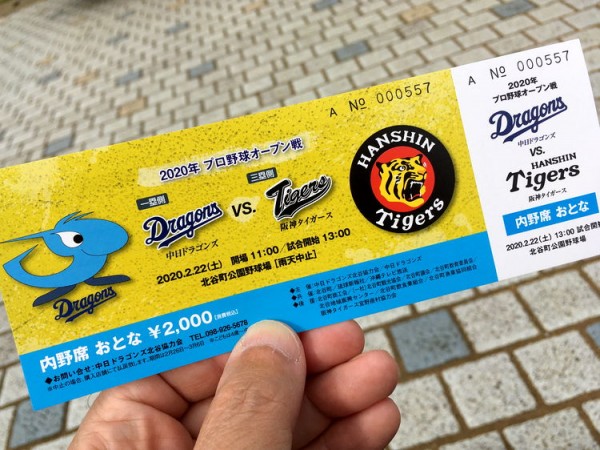 阪神タイガース チケット 中日戦スポーツ - 野球