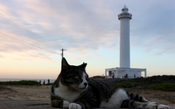 心がポカポカした旅になりました｜沖縄旅の思い出ﾌｫﾄｺﾝﾃｽﾄ