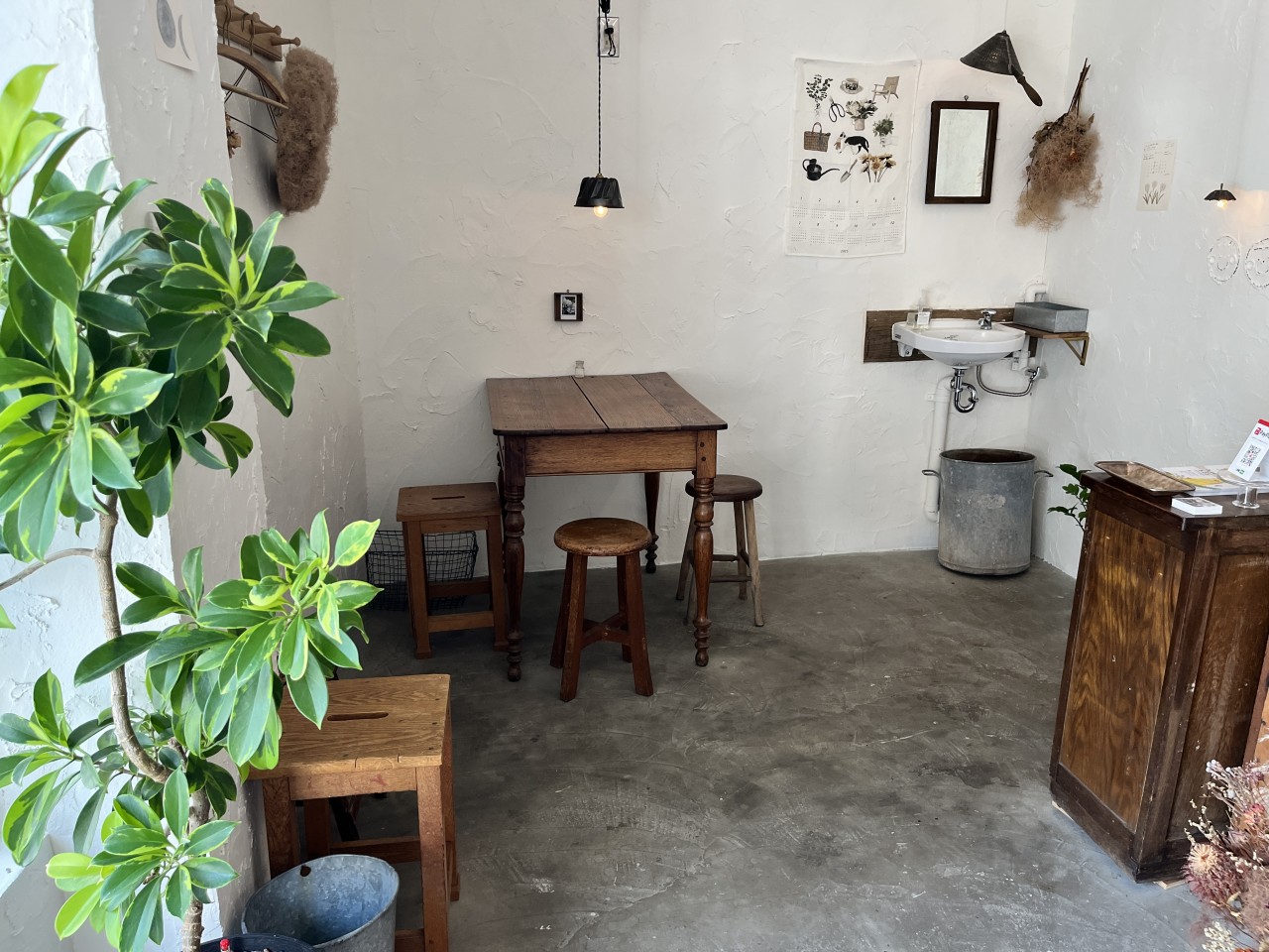 アンズトモモ店内席2