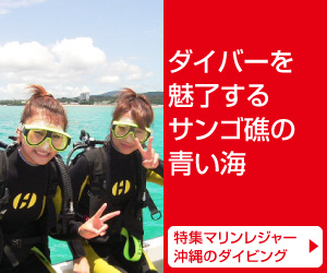 【特集】沖縄ダイビング体験