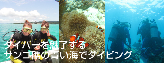 【特集】沖縄ダイビング・体験ダイビング