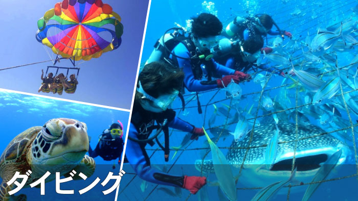 沖縄体験ダイビング・FUNダイビングのおすすめ格安ツアー