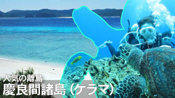 慶良間諸島の遊び マリンスポーツ・ダイビング 格安ツアー簡単予約