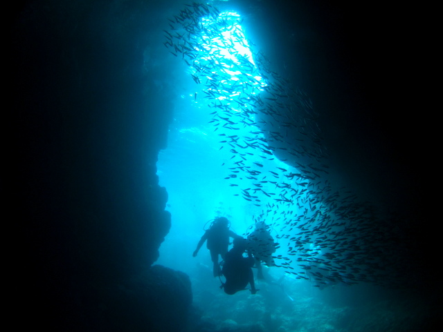【キャンペーン実施中♪】人気の青の洞窟ボート体験ダイビング