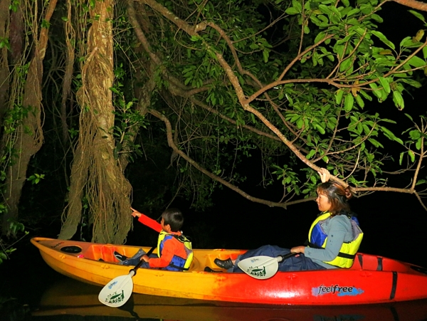 【2歳から参加OK】夜のマングローブジャングルを探検しよう！比謝川ナイトカヤックツアー《ツアー画像プレゼント！》