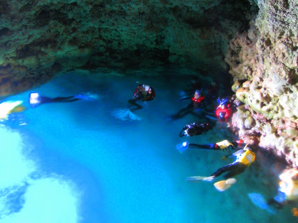 沖縄半日シュノーケル！ジンベエザメ + 青の洞窟セットプラン