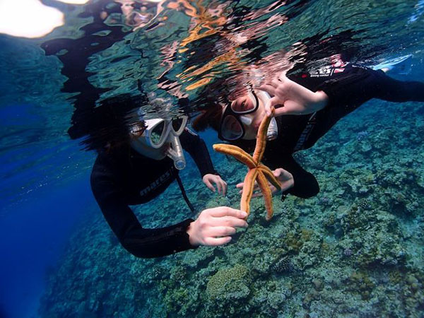 【那覇発】ケラマ1日・ボート体験ダイビング＋スノーケリング★那覇市内ホテル送迎サービス・3名様以上でグループ割