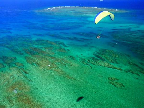 ※地域クーポン対象　沖縄で優雅にモーターパラグライダー遊覧飛行