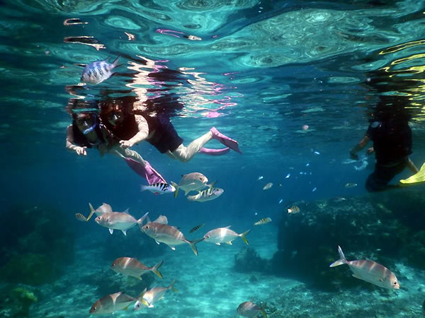 【宮古島】4歳からOK♪ビーチシュノーケリングでカラフル熱帯魚＆サンゴ礁を観察しよう♪（送迎あり）