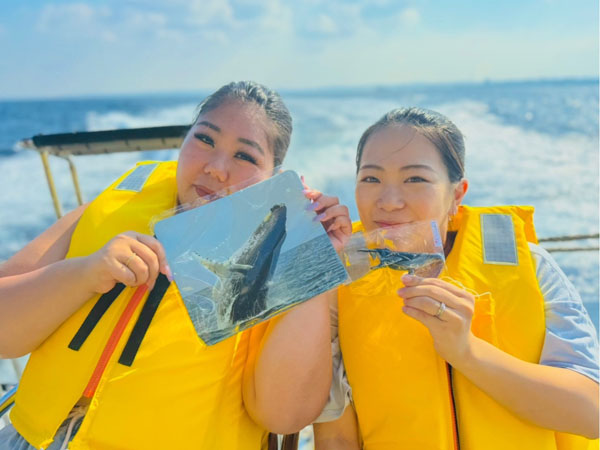 【宜野湾発】ホエールウォッチングツアー　大型船・少人数制☆ザトウクジラグッズGETの大チャンス