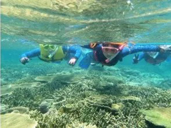 【宮古島・伊良部島】カヤックで行く！クマノミ＆サンゴシュノーケル