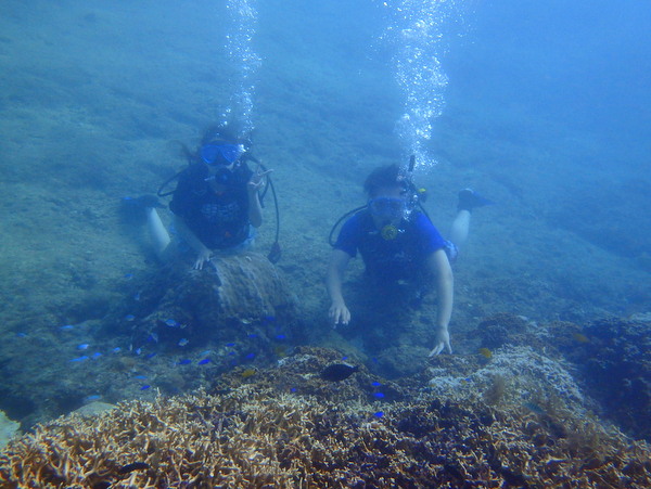 宮古島で体験ダイビング！！綺麗なサンゴ礁と熱帯魚観察